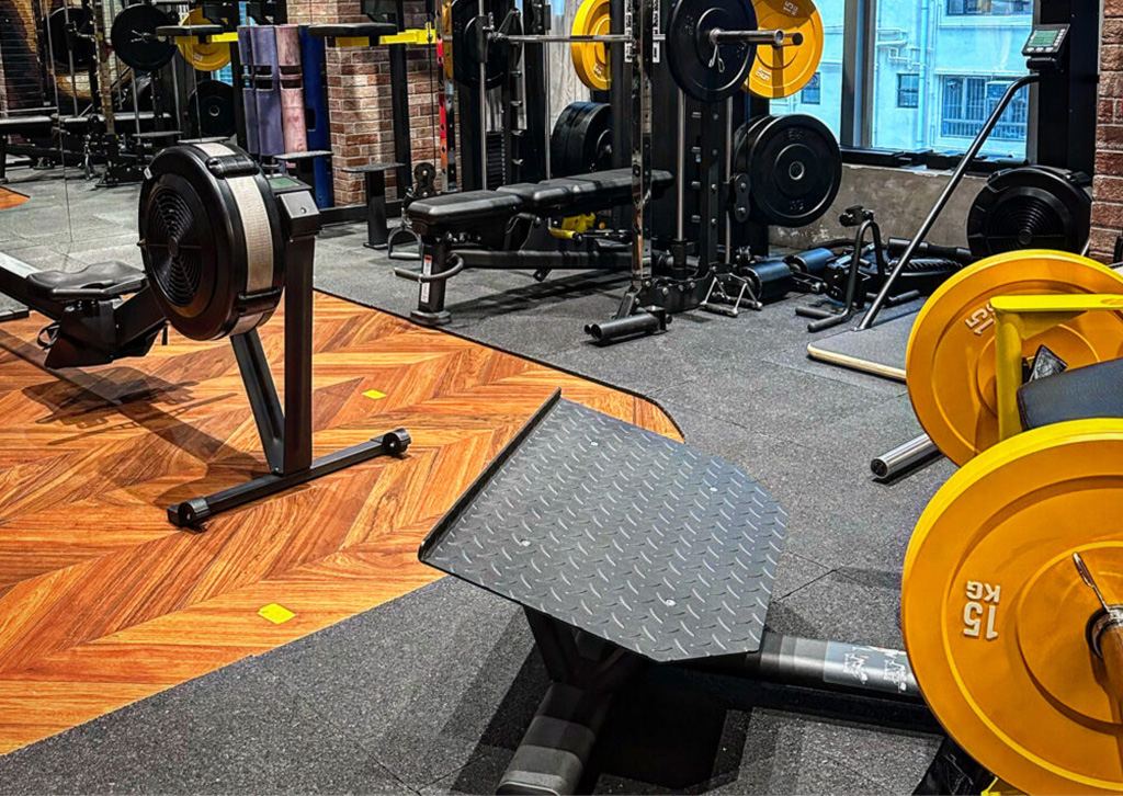 GYM CIRCUIT2