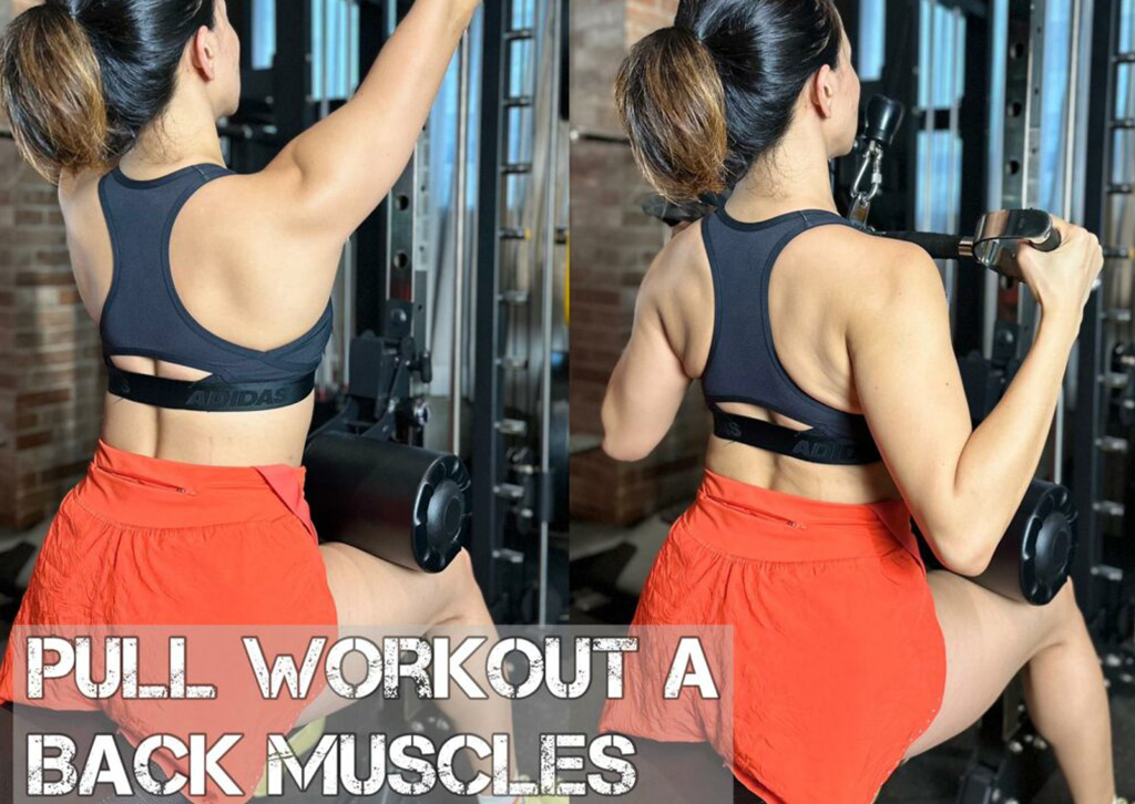 GYM CIRCUIT6