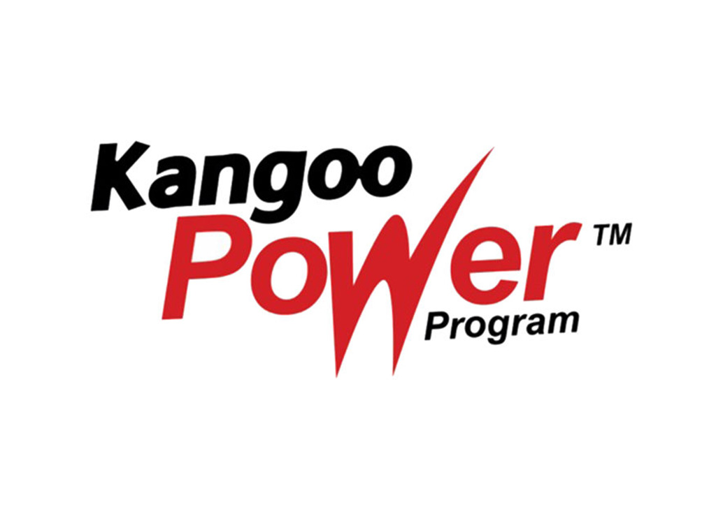 KANGOO POWER0